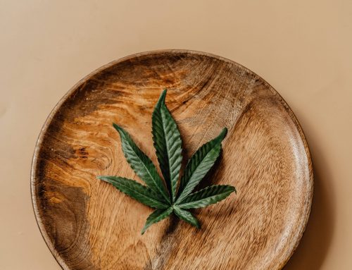 Are Marijuana Seeds Considered High Risk?